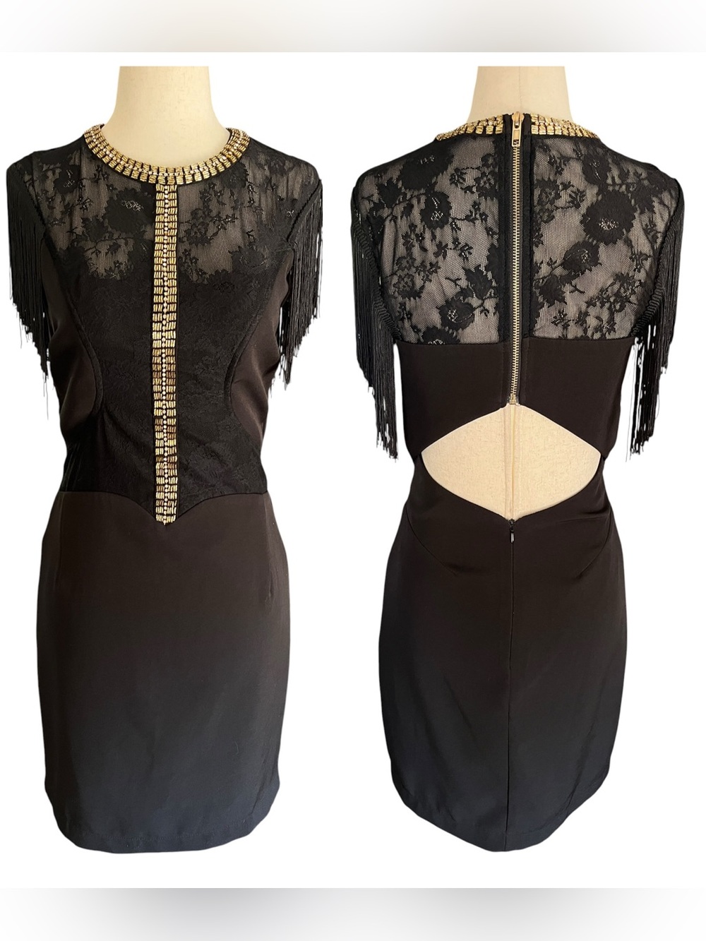 The clothing company fringe lace shoulder exposed back dress